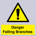 danger-falling-branches~